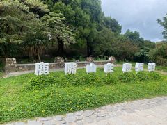 -杨梅坑