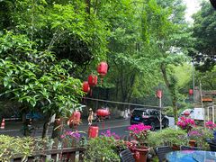 -国生茶庄·地道农家菜团建活动