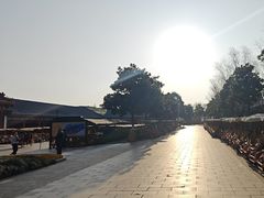 -横店圆明新园