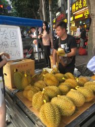 -可可丽舍