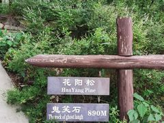 -鬼笑石后山停车场