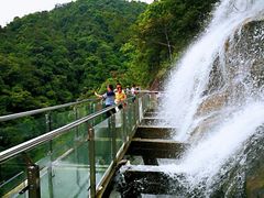 -九龙江国家森林公园