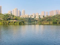 -重庆彩云湖湿地公园