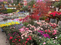 -双季花艺园艺市场(浦东店)