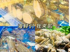 -乔哥铭洋海鲜自助(皇城恒隆广场店)