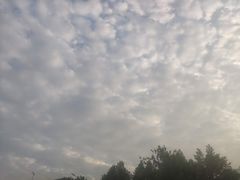 -郑州市第十一中学