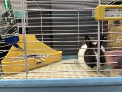 -UltraForce超源健身私教工作室(长楹天街精品店)