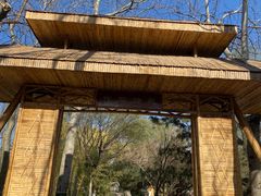 -大兴滨河森林公园