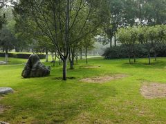 -北京国家会计学院