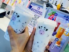 -一只酸奶牛(八一路店)
