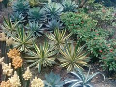 -南山植物园