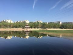 -党河风情线国家水利风景区