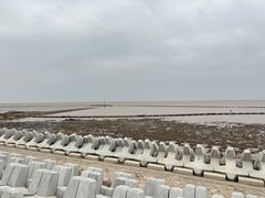 -南汇嘴观海公园