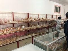 -中关村茶点