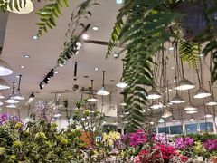 -双季花艺园艺市场(浦东店)