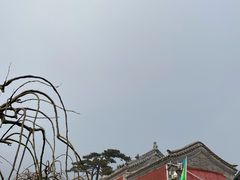 -妙峰山风景名胜区