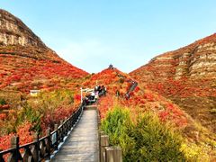 -狼牙山风景区