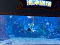 -南昌海洋公园
