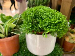 -义乌之心城市生活广场(新马路店)