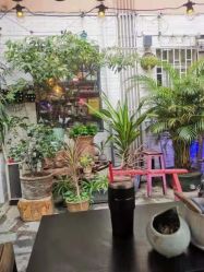 点击看大图 -匿名者纹身学院派·刺青