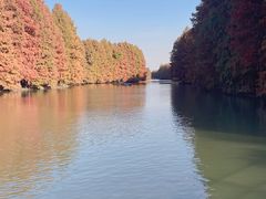 -上海海湾国家森林公园