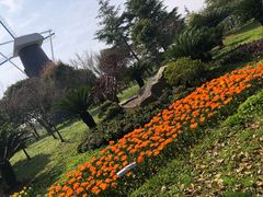 -上海鲜花港