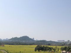 -光明小镇欢乐田园