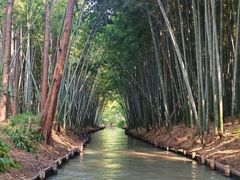 -同里国家湿地公园