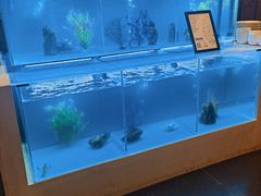 -怡咖啡·自助餐·西安香格里拉