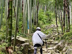 -安吉龙王山风景区