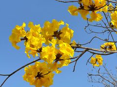 -陈家祠堂-游客中心