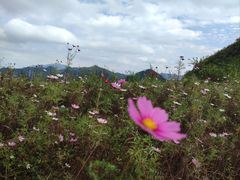-重庆云阳龙缸景区