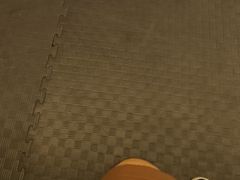 -温鉴良实用咏春拳