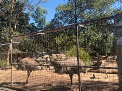 -费瑟代尔野生动物园