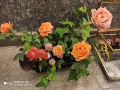 -卯火锅(人和协信店)