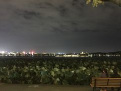 -湖畔居茶楼(湖滨店)