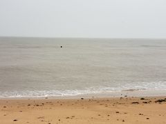 -碣石国家级海洋公园