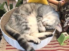 -小时光咖啡馆(北锣鼓巷店)