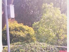 -昆山城市生态森林公园