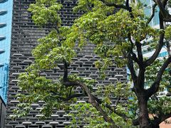 -大馆(前中区警署建築群)