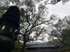 -普陀山风景名胜区-法雨禅寺