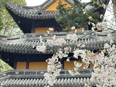 -龙华寺