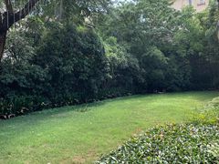 -老洋房花园饭店(绍兴路店)