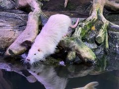 -正佳雨林生态植物园