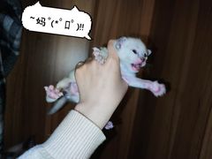 -宠颐生中康贝怡动物医院