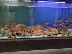 -阿伟海鲜楼·福建菜(延寿店)