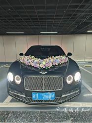 -宁波甬诚婚车(新典路店)