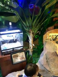 -酷嗒动物文化乐园(cutezoo西溪乐天城店)