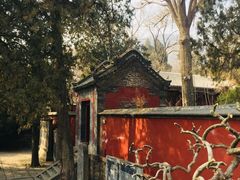 -泰山风景名胜区-普照寺