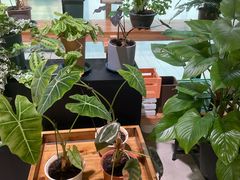 -JRCAFE玖如空间